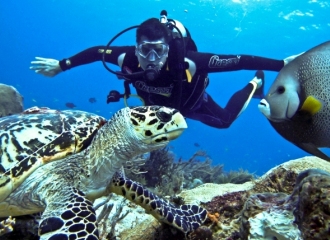 Pulau Gaya tour