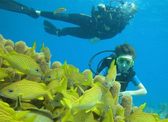 Pulau Tenggol Tour