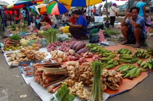 Tamu Kota Marudu