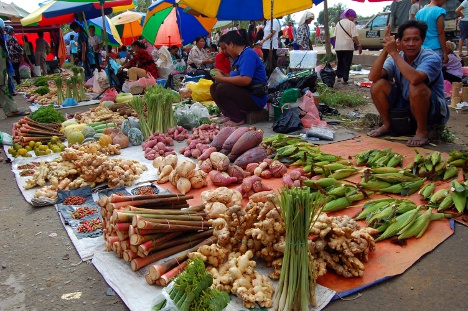 Tamu Kudat