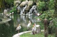 KL Bird Park