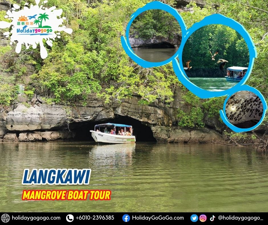 Langkawi Mangrove Boat Tour