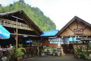 Langkawi Mangrove Boat Tour