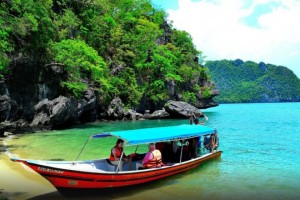 Langkawi Mangrove Boat Tour