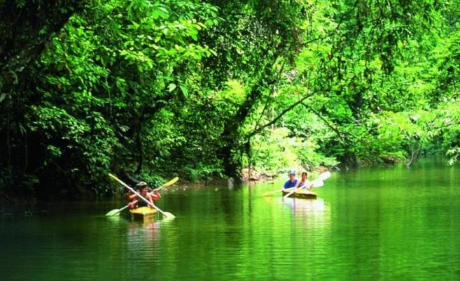 Langkawi Mangrove Kayak Tour
