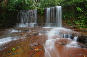 Lambir Hills National Park waterfall