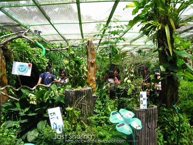 Penang Butterfly Farm garden