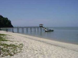 Penang National Park teluk bahang camp site