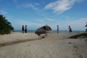 Penang National Park teluk duyung