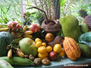 Penang Tropical Fruit Farm fruits