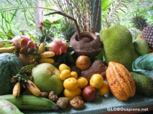 Penang Tropical Fruit Farm fruits