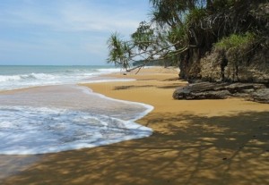 Similajau National Park beach