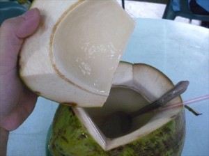 Tanjung Batu Beach coconut