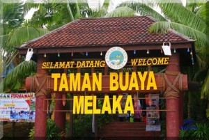 Melaka Crocodile Farm