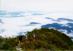 Mount Tahan summit