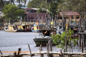 Nenasi village