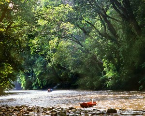 Taman Negara