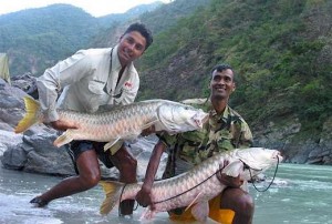 Taman Negara fishing challenge