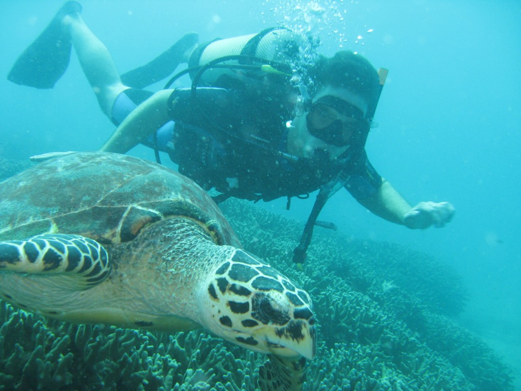 Tioman Island scuba diving