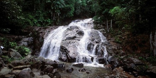 Mount Panti Recreational Forest
