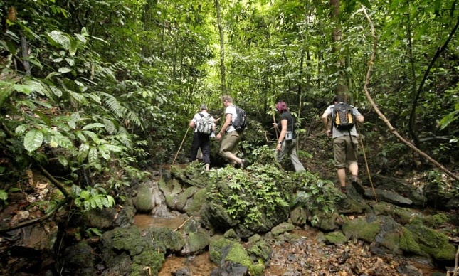 Sungai Batang Recreational Forest