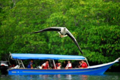 langkawi island hopping