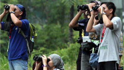 Pahang International Bird Race