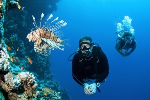 diving in tioman