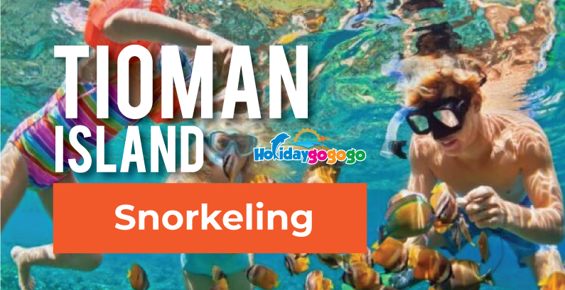 snorkeling tioman banner