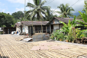 Annah Rais LongHouse outlook