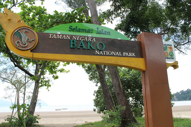 Bako National Park Sarawak Holidaygogogo