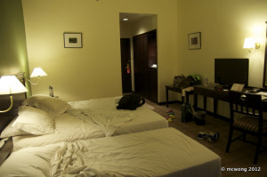 Equatorial Hotel room