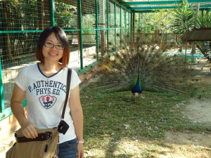 Langkawi Bird Paradise