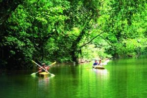 Langkawi Mangrove Kayak Tour