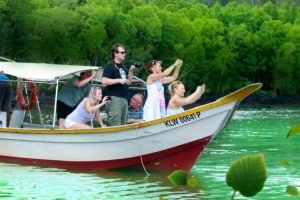 Langkawi Mangrove Package