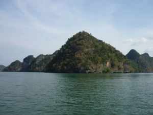 Langkawi mangrove tour