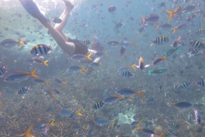 Tioman Sun Beach Resort Package