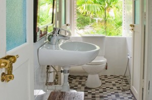 Star Anise Ensuite Bathroom