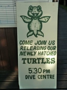 Turtle release banner