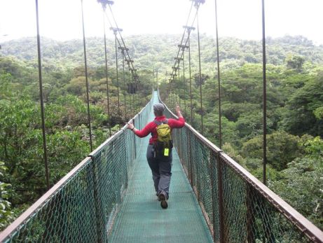 canopy tour