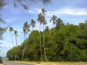 pantai kemasik