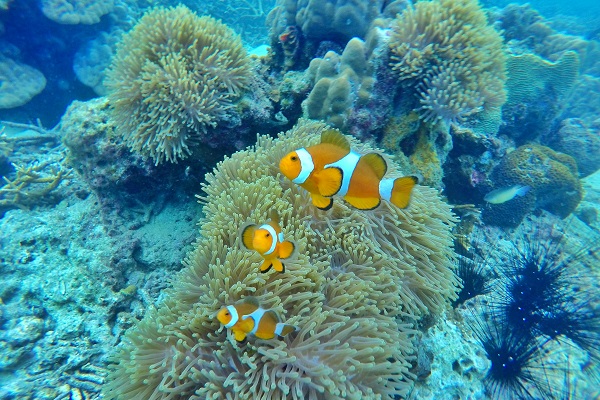 Perhentian Island Resort