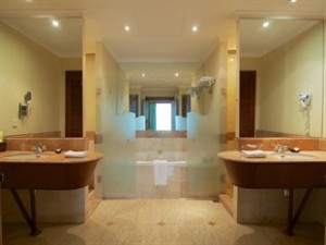 Deluxe Suite Bathroom