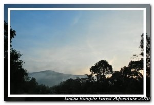 Kampung Peta surrounding