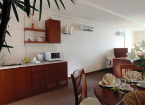 Kitchenette & Dining Area