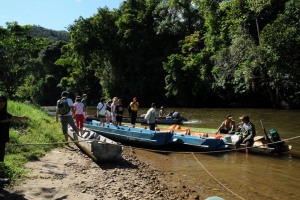 Mulu National Park