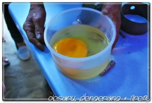 Ostrich farm open egg demo