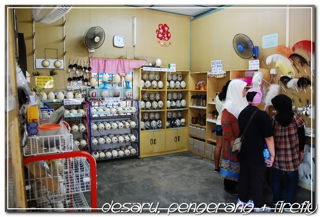 Ostrich farm souvenir shop