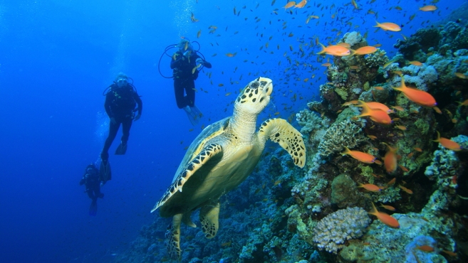 Perhentian diving tour