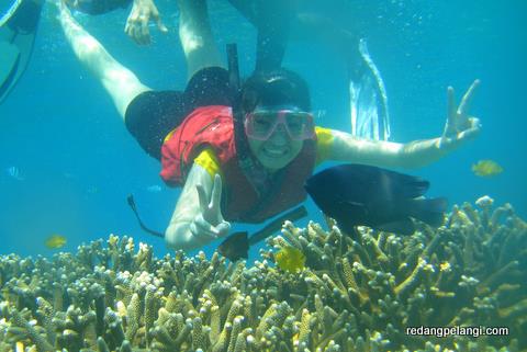 Redang Pelangi Resort snorkeling trip